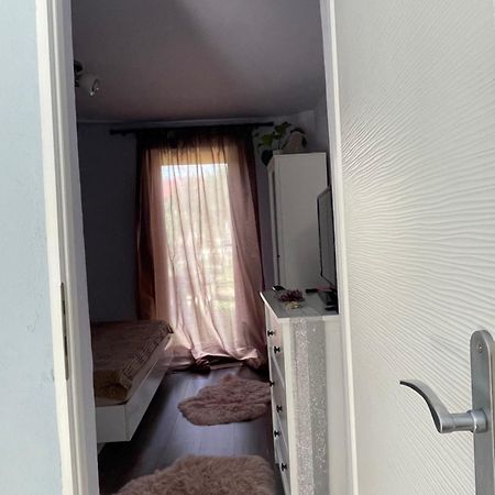 ティミショアラGarsoniera La Casaアパートメント エクステリア 写真